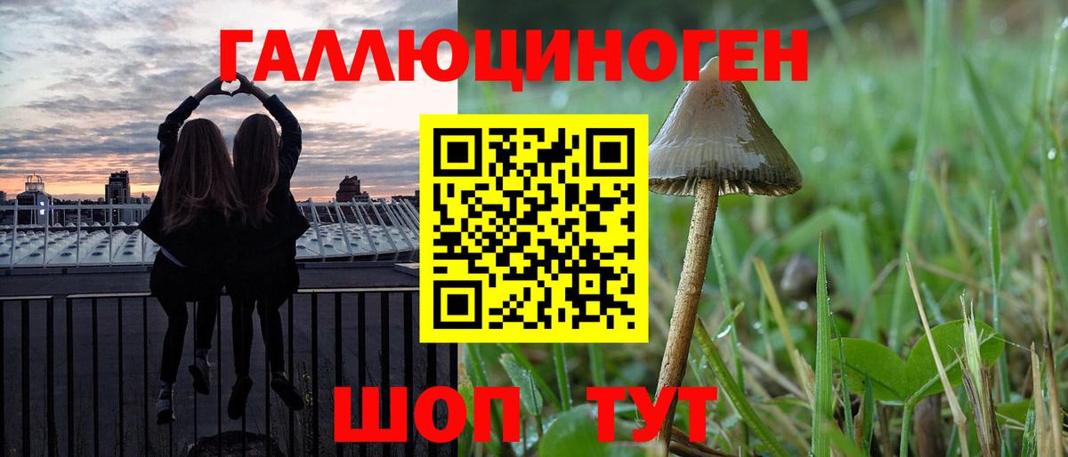 Галлюциногенные грибы Magic Shrooms  Вход с VPN  Ялуторовск  Галлюциногенные грибы Psilocybine cubensis 